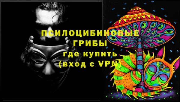 не бодяженный Елабуга